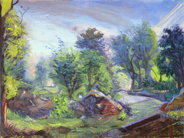 Miller Lopez Debris Pile